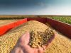 Brasil pode bater novo recorde de grãos na safra 2021/22, estima Conab